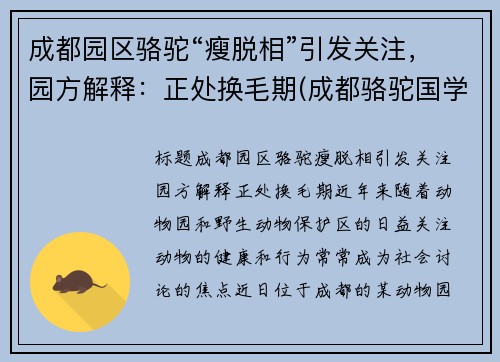 成都园区骆驼“瘦脱相”引发关注，园方解释：正处换毛期(成都骆驼国学老师简介)